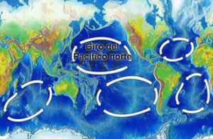 A 'illa de plástico' está situada no xiro oceánico do Pacífico norte, un dos cinco grandes xiros oceánicos.