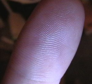Fingerprintonfinger