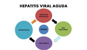 hepatitis-cronica-aguda-virica-6-638